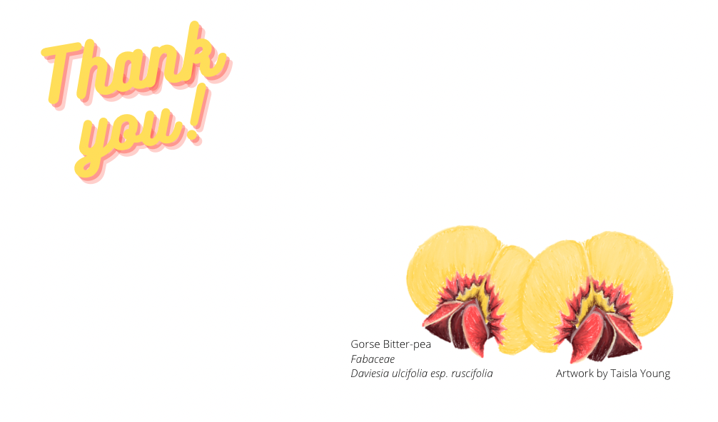 The thank you card I made for the mentors, which was signed by all interns